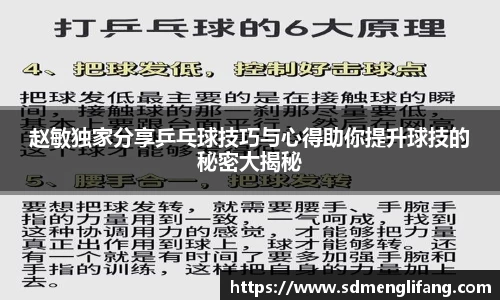 赵敏独家分享乒乓球技巧与心得助你提升球技的秘密大揭秘