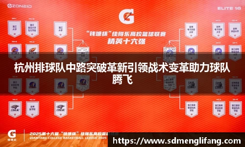 杭州排球队中路突破革新引领战术变革助力球队腾飞