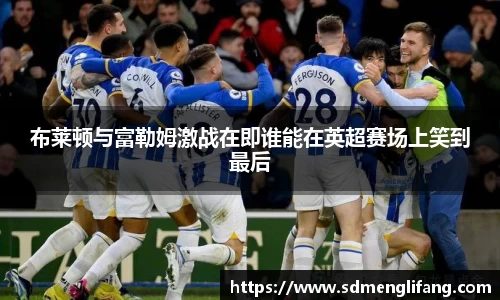 布莱顿与富勒姆激战在即谁能在英超赛场上笑到最后