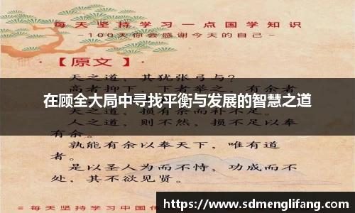 在顾全大局中寻找平衡与发展的智慧之道