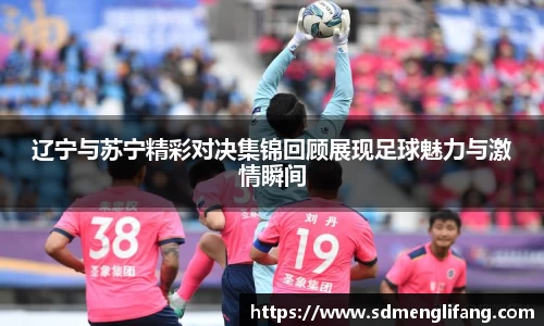 辽宁与苏宁精彩对决集锦回顾展现足球魅力与激情瞬间