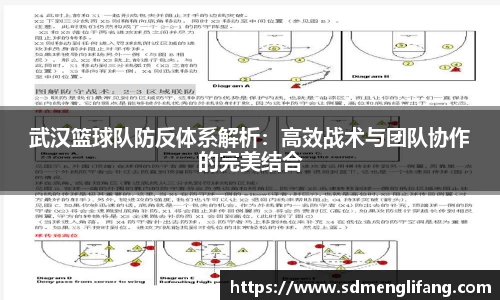 武汉篮球队防反体系解析：高效战术与团队协作的完美结合
