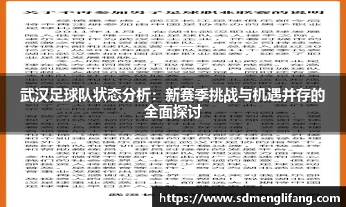 武汉足球队状态分析：新赛季挑战与机遇并存的全面探讨