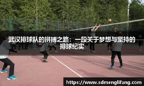 武汉排球队的拼搏之路：一段关于梦想与坚持的排球纪实