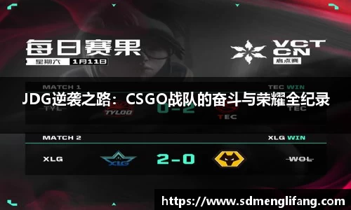 JDG逆袭之路：CSGO战队的奋斗与荣耀全纪录