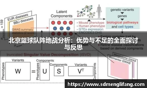 北京篮球队阵地战分析：优势与不足的全面探讨与反思