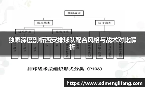 独家深度剖析西安排球队配合风格与战术对比解析